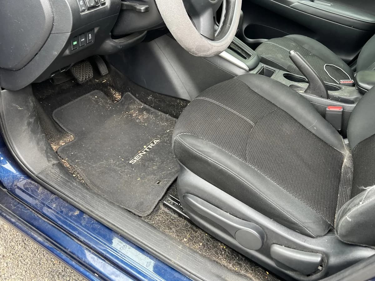 Pet hair embedded in the driver’s floor carpet and around the seat