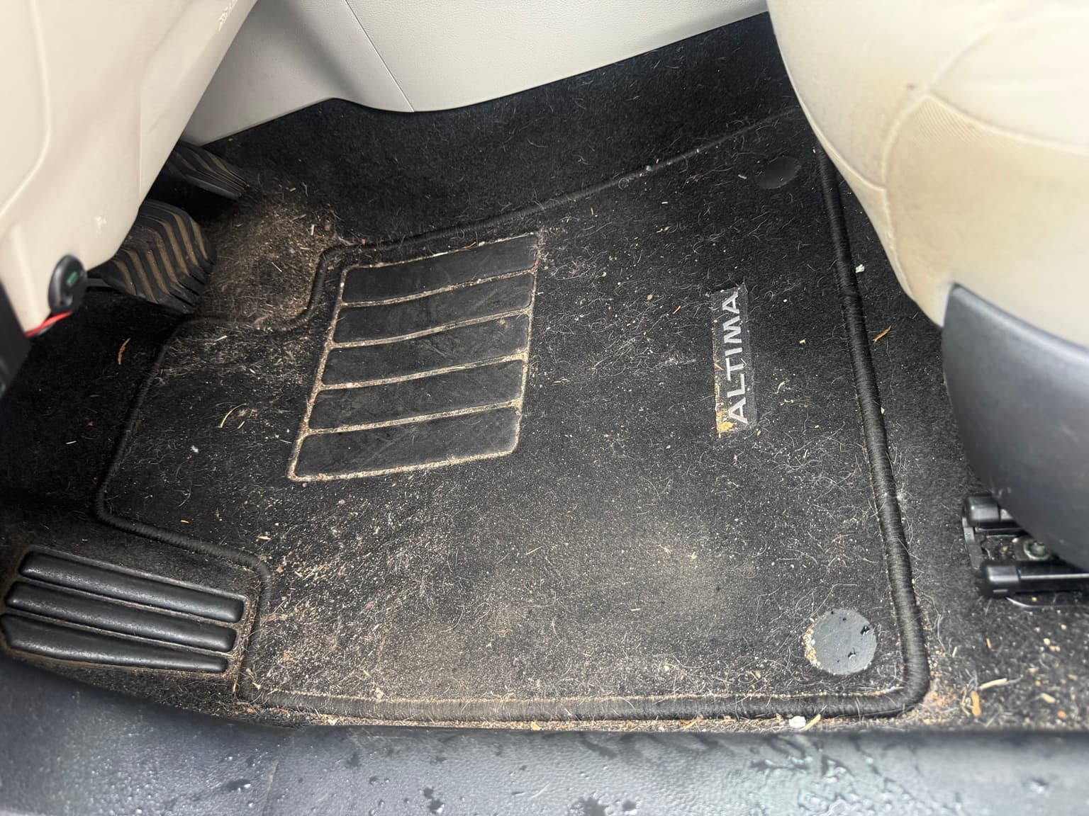 Pet hair and sand covering the Nissan Altima driver floor mat and carpet before detailing
