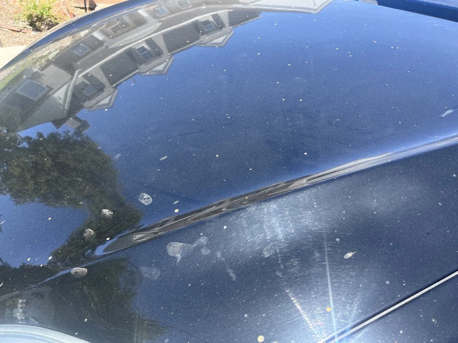 Close-up of Tesla Model S hood before paint correction, showing swirl marks and spots