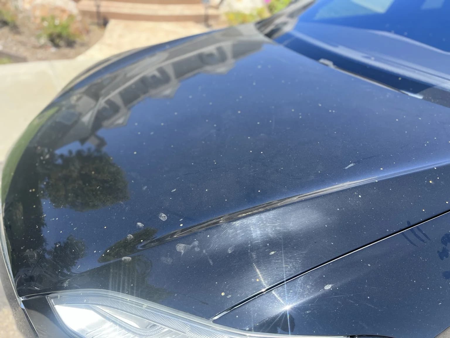 Tesla Model S hood before paint correction, with visible swirl marks and surface contamination
